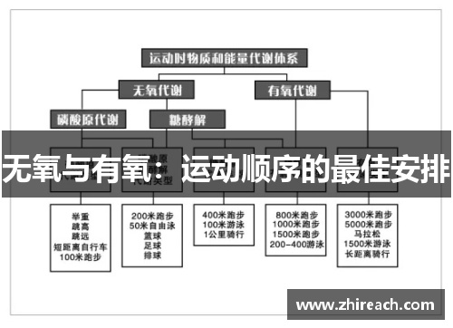无氧与有氧：运动顺序的最佳安排
