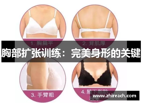 胸部扩张训练：完美身形的关键