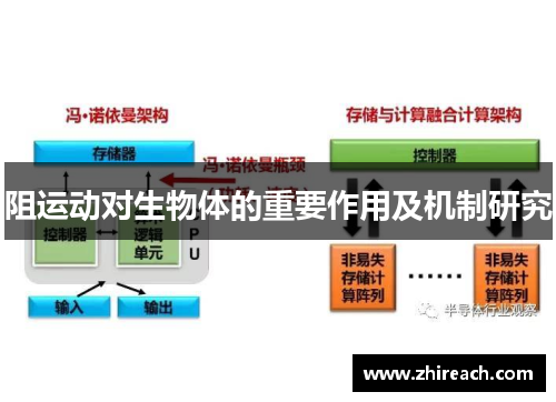 阻运动对生物体的重要作用及机制研究